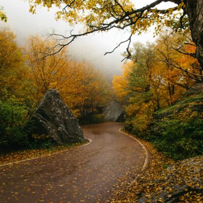 Vermont fall foliage is stunning! What to do with leaves in the fall.
