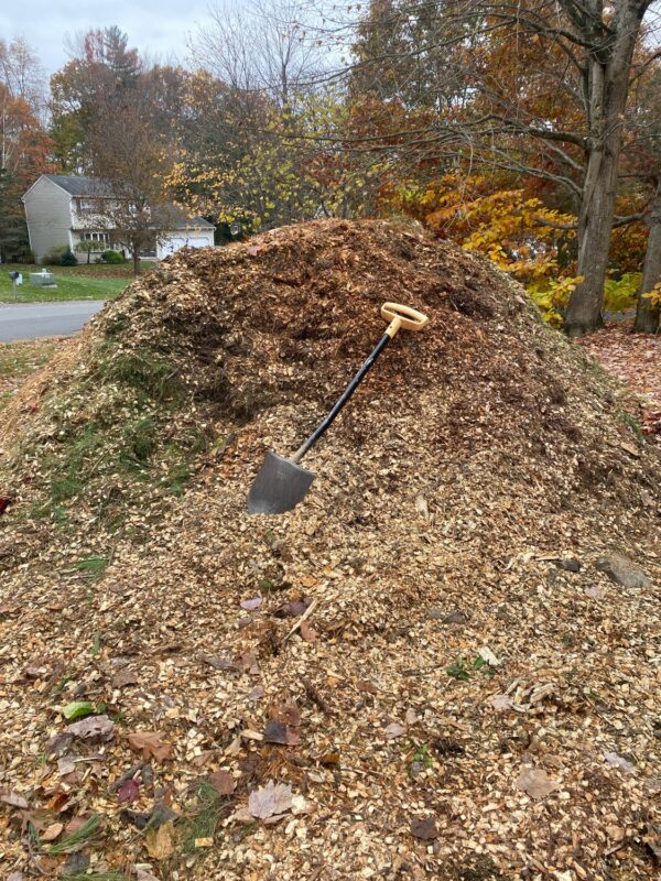 A pile of woodchips.