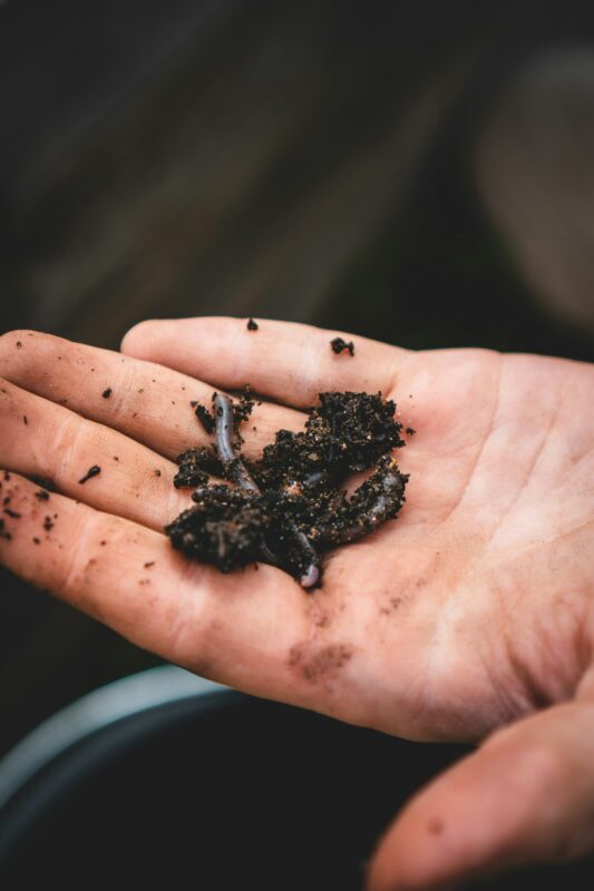 Best DIY potting soil mix includes worm castings!