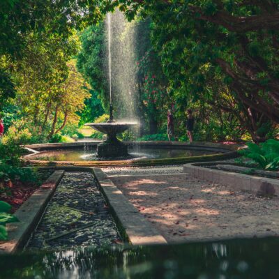 Plants that repel mosquitoes work best next to flowing water.