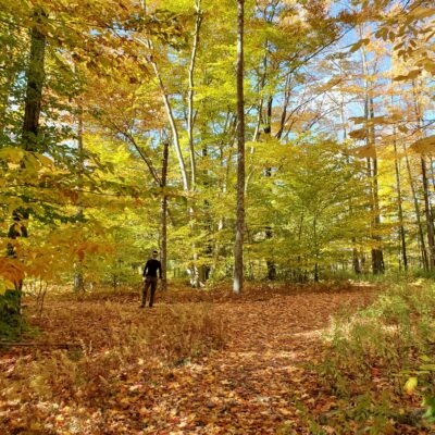 The Catskills, New York Fall Foliage.