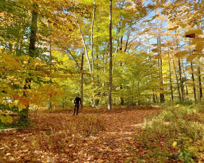 The Catskills, New York Fall Foliage.