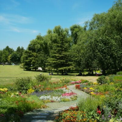 Beautiful wildflower paths.