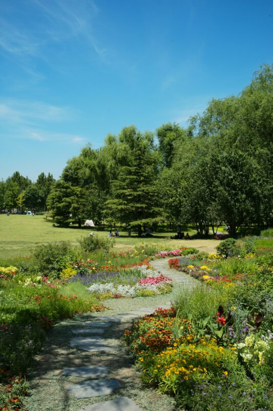 Beautiful wildflower paths.