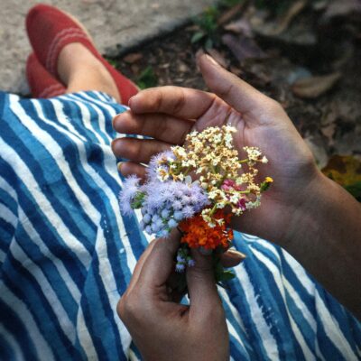 Right plant, right place.