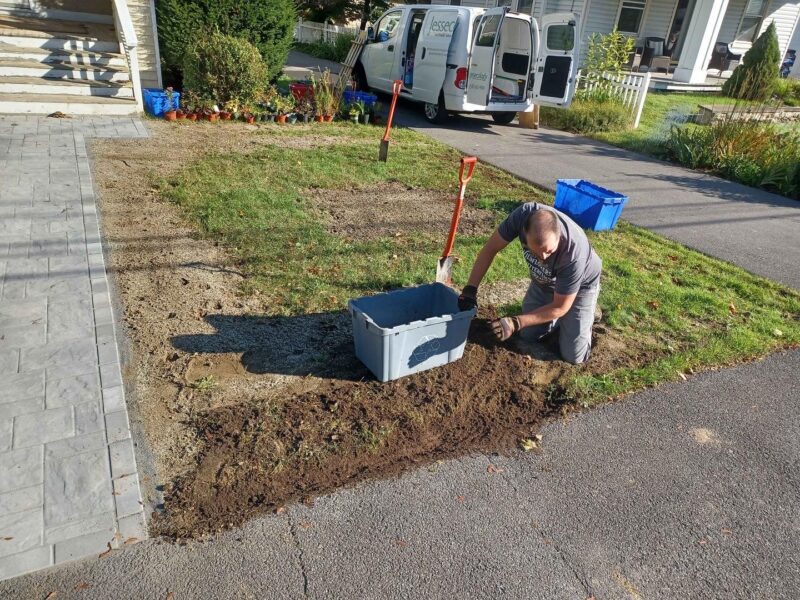 Before, During, After. It begins with a dream and some action.