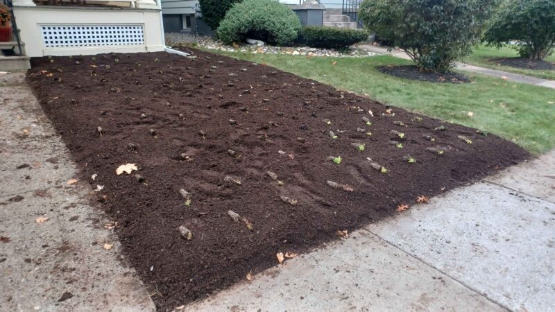 The Jessecology company soil remediation process happens quietly at first. A "coat of brown primer" is all the world sees.