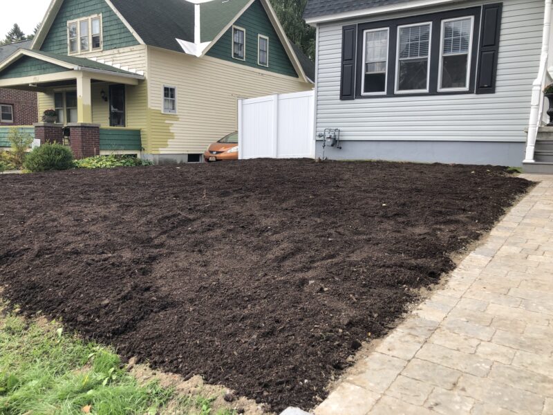 Sleep, Creep, Leap: phase 1.