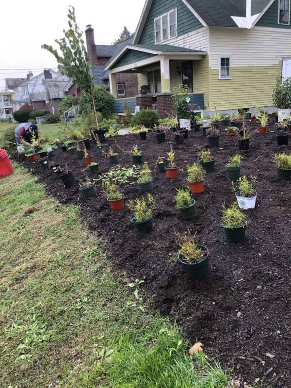 Roots before blooms, pt 2.