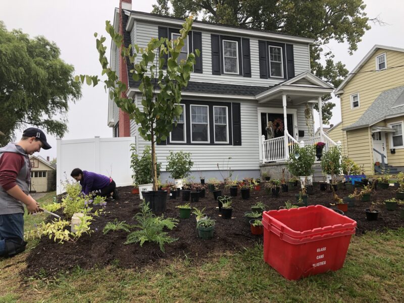 Sleep, Creep, Leap: now add plants.