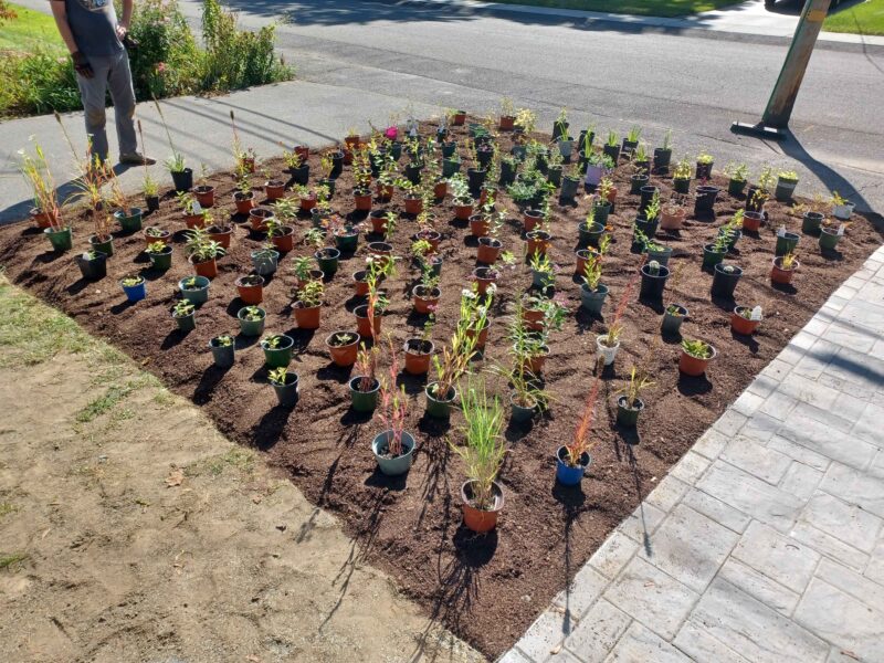 Before, During, After. It begins with a dream and some action.