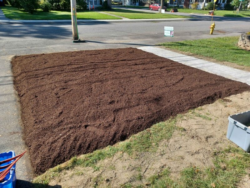 Welcome to my compost dancefloor.