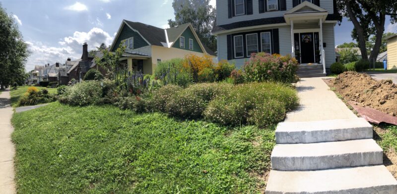 One more natural garden pic.