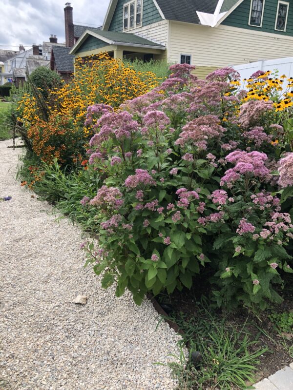 Year 2 or 3 it really becomes a special spectacle.