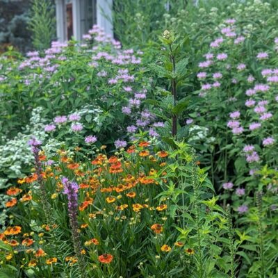 Before, During, After. We all wait for the "After" part... but you shouldn't wish your life away. Learn to enjoy the process, why not?