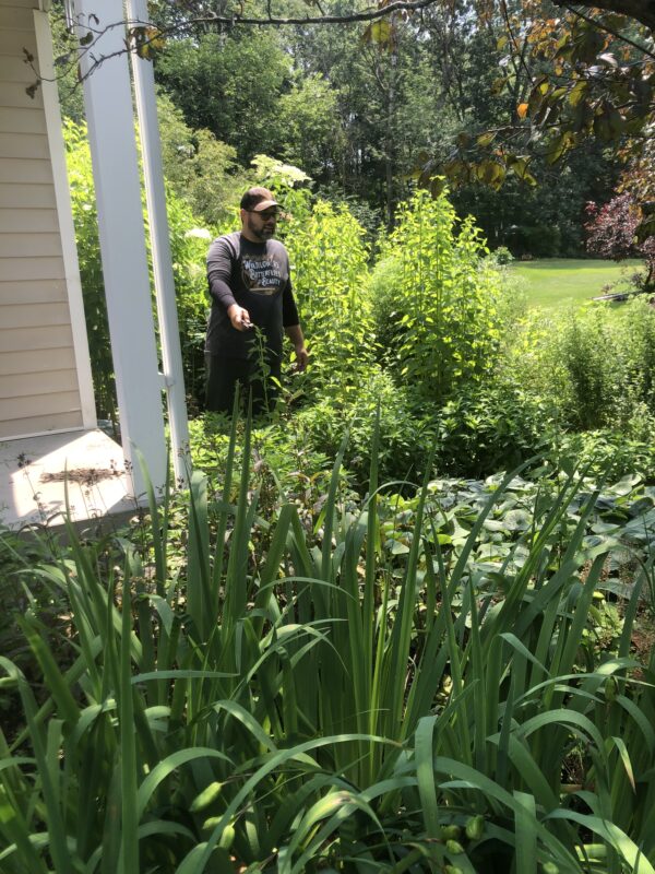 Time builds beauty, internally and elsewhere.