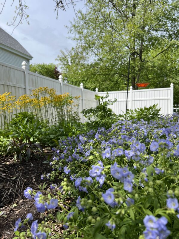 Landscaping Kinderhook NY