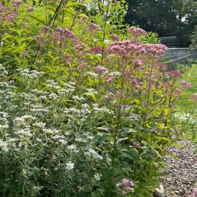 Regenerative landscaping