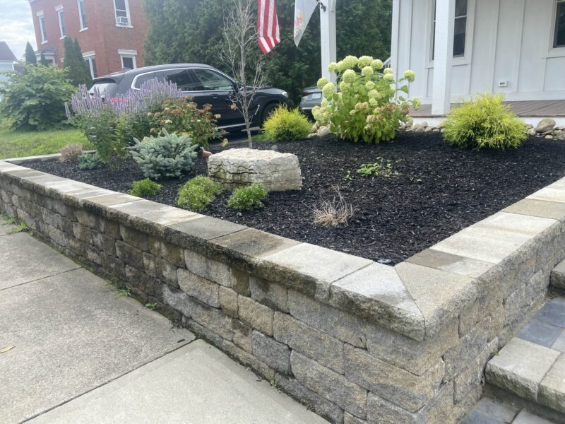 The "Before" picture.