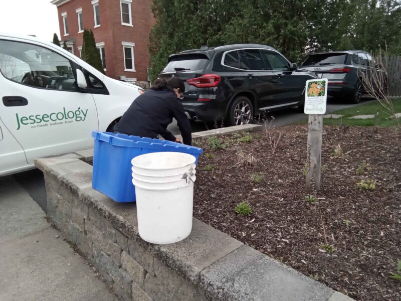 Slow spring awakening.