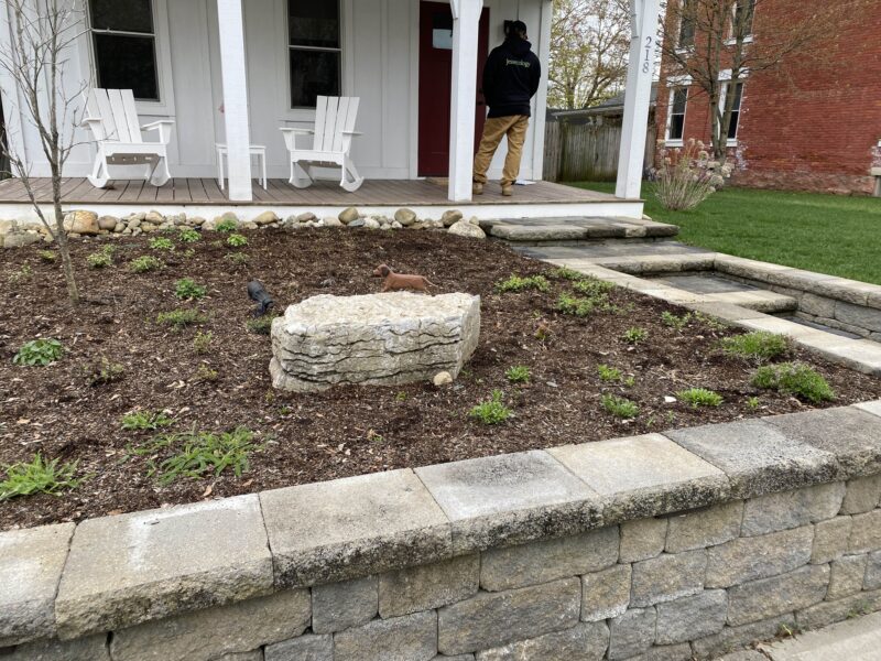 Bare beginnings in the garden.