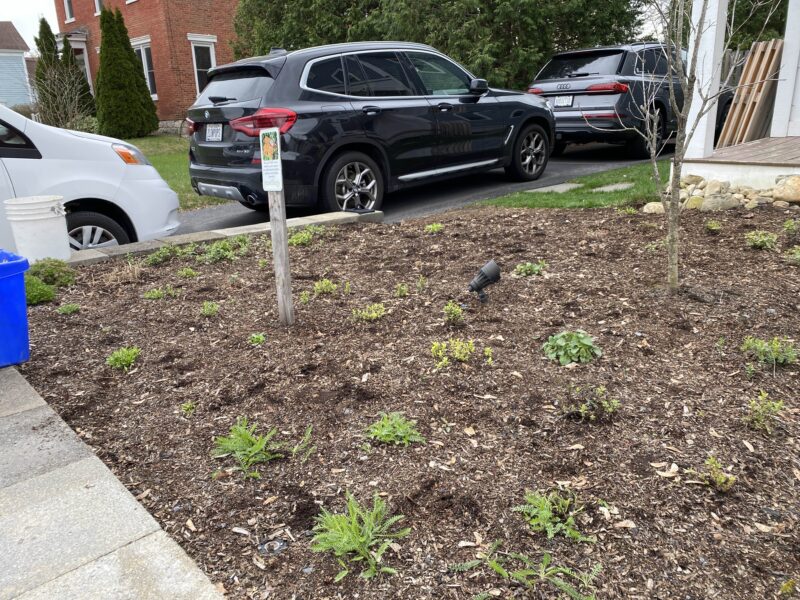 Landscape transformation process.