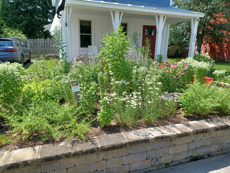 landscape transformation process