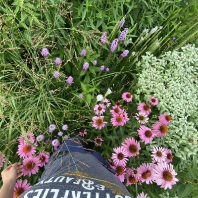 Matrix planting is for everywhere.