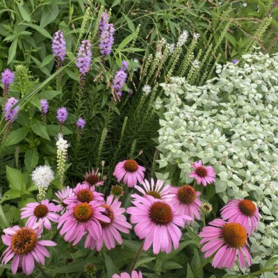 The Long Garden Game.