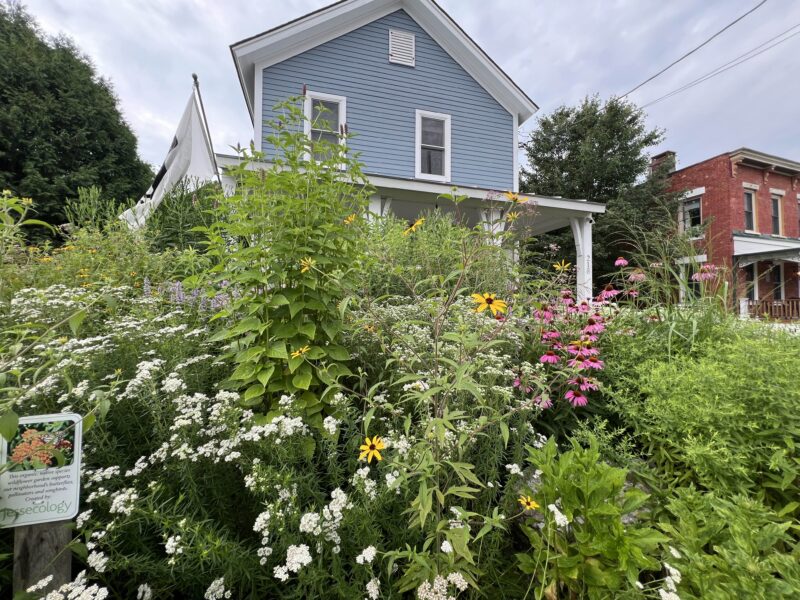 The Long Garden Game- this is what it looks like.