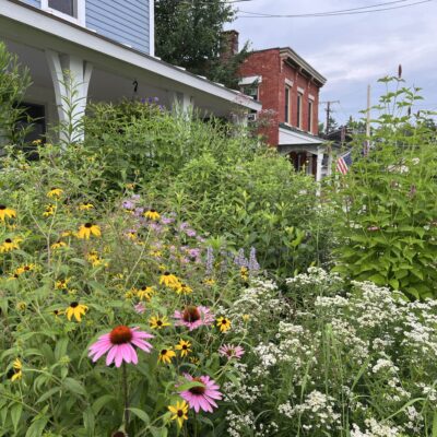 Landscape transformation