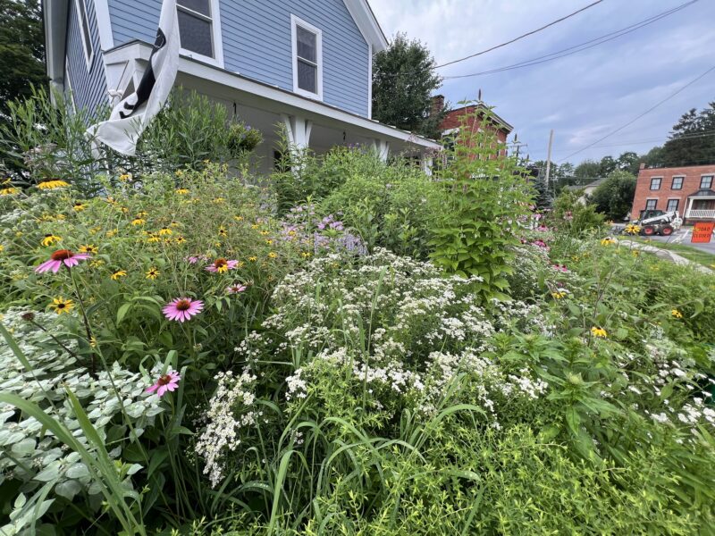 Matrix planting, for the win.