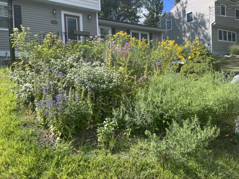 Slow growth and beautiful gardens eventually.