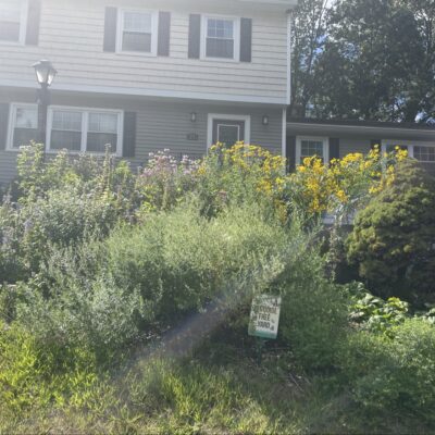 Slow Growth results in real + big beauty.