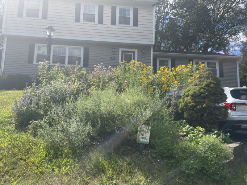 Slow Growth results in real + big beauty.