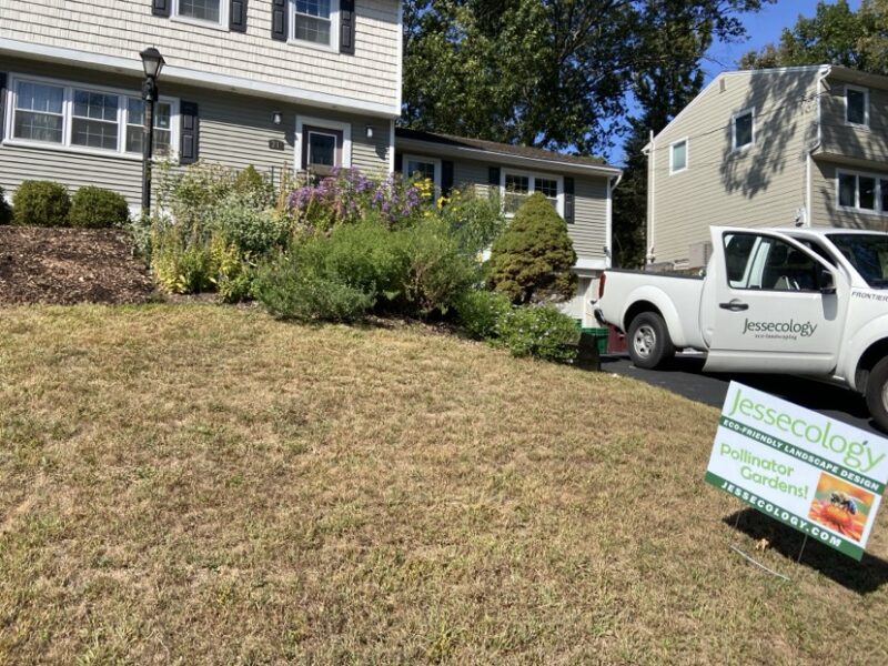 By year 2 everything begins to fill in.