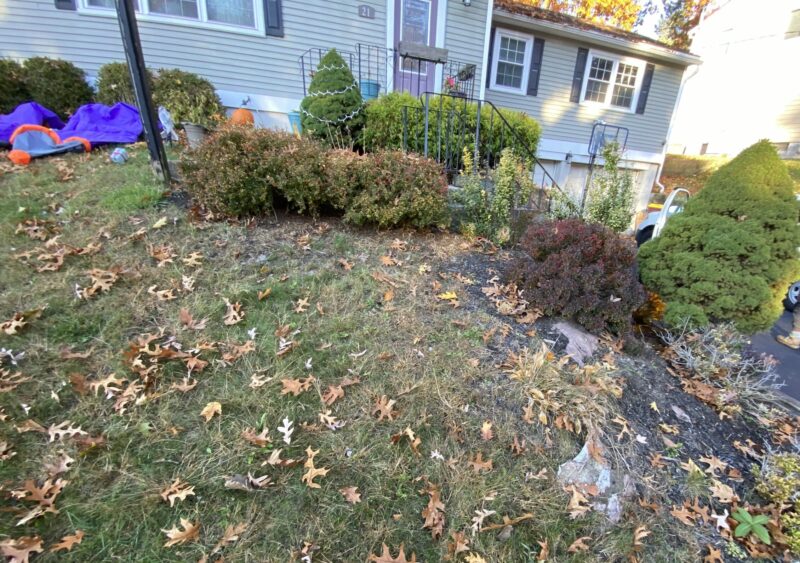 "Before" pictures for context.