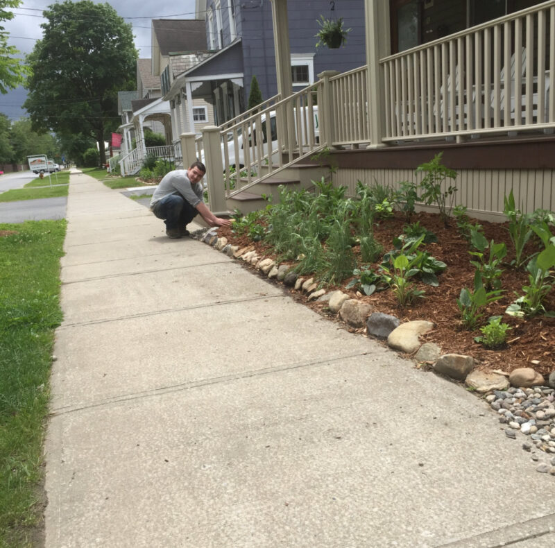 Pretty organic native gardens.