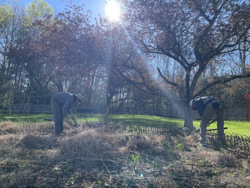 Native garden spring cleanup