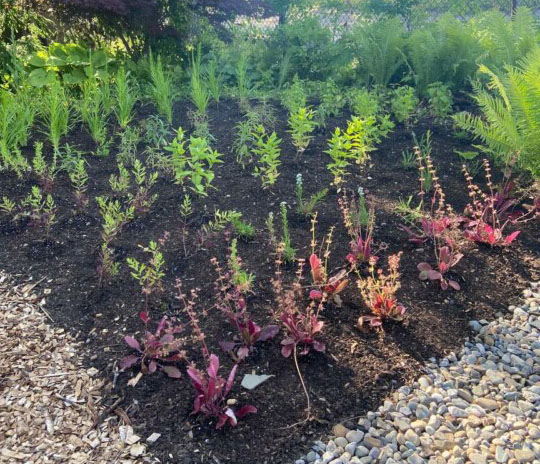 Ecological Landscape Design