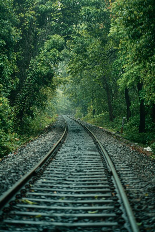 Train nature scene