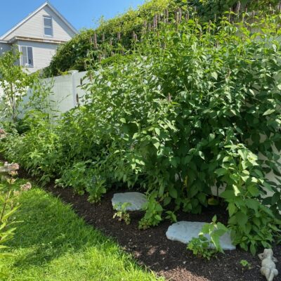Patience makes gardens.
