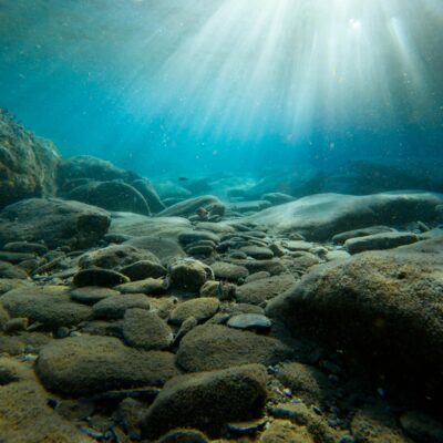Ocean ecology