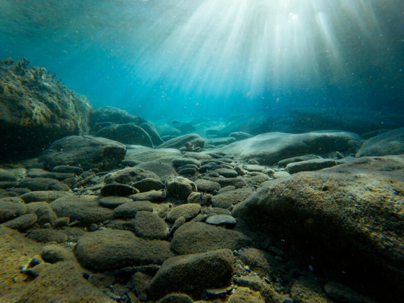 Ocean ecology