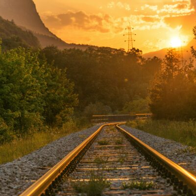 Railroad ecosystems
