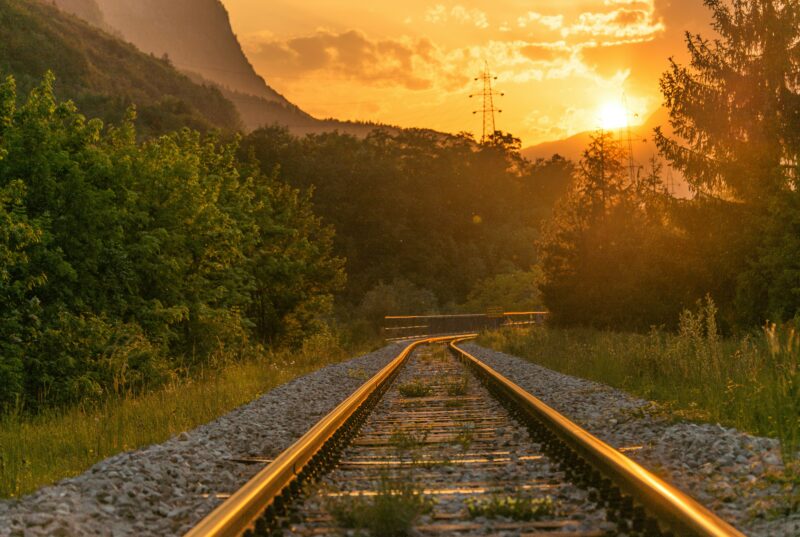 Railroad ecosystems