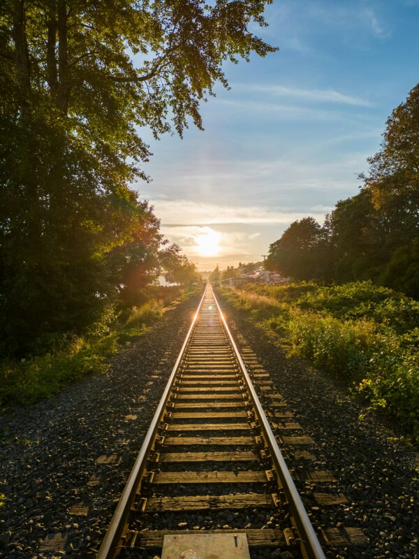 Railroad ecosystems