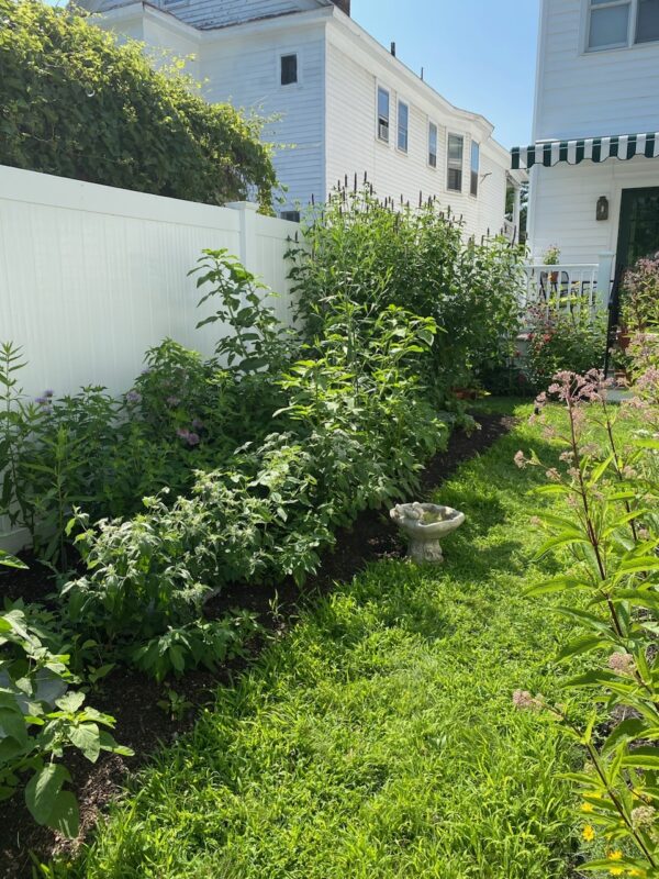 Patience makes gardens.