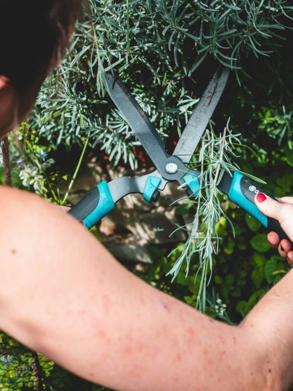 Chop & drop biodiversity rules.