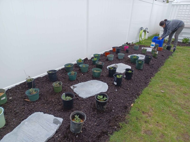 Patience makes gardens.